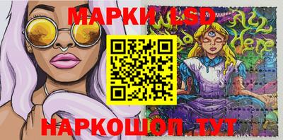 индика Будённовск