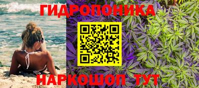 индика Будённовск
