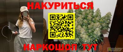 индика Будённовск