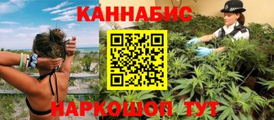 индика Будённовск