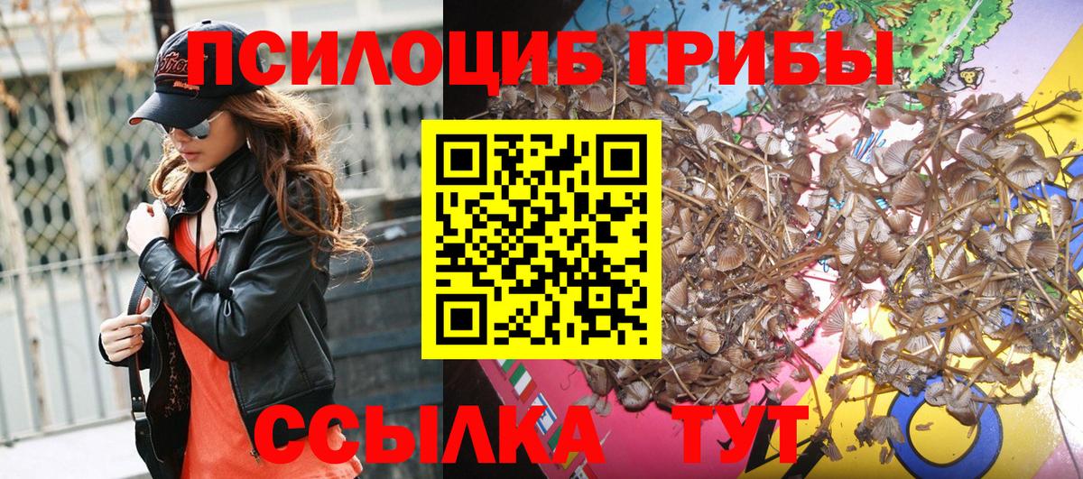 Галлюциногенные грибы GOLDEN TEACHER Новочеркасск